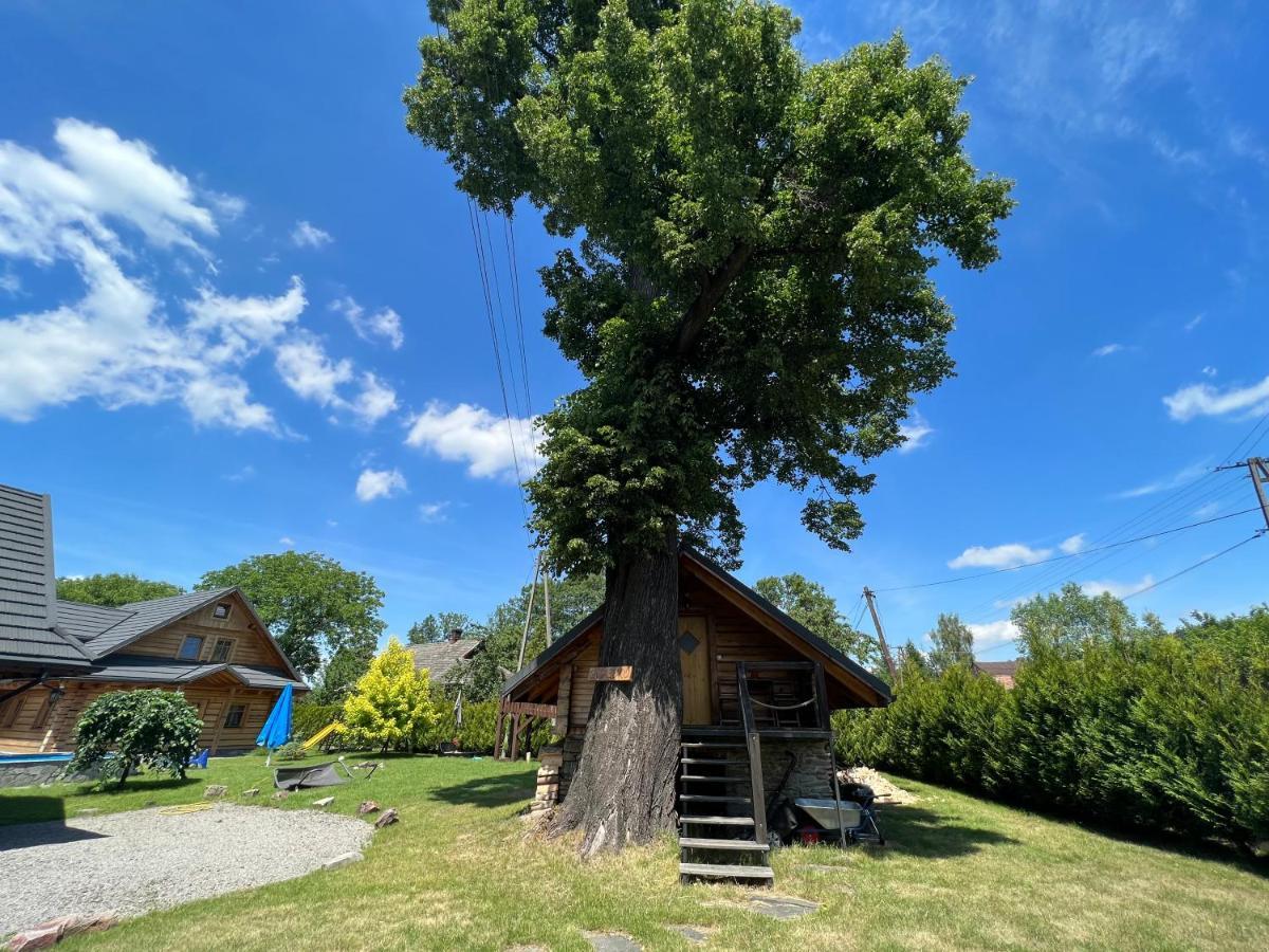 Apartmán Gniazdko Pod Lipa Andrychów Exteriér fotografie