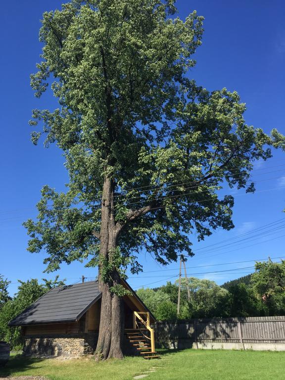 Apartmán Gniazdko Pod Lipa Andrychów Exteriér fotografie