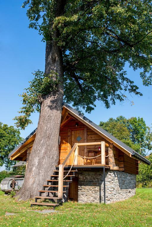 Apartmán Gniazdko Pod Lipa Andrychów Exteriér fotografie